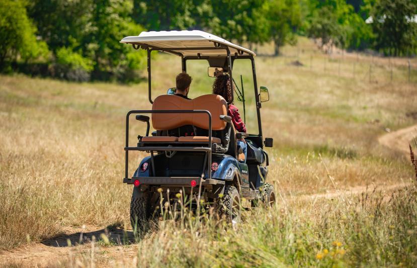 Modern Sürüş Deneyimi: Pilotcar Elektrikli Golf Aracı ile Konfor ve Sessizlik